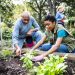 People are lonely. Small steps in your community can make a difference