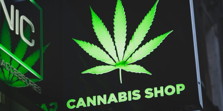 Understanding the mental health risks linked with cannabis use
